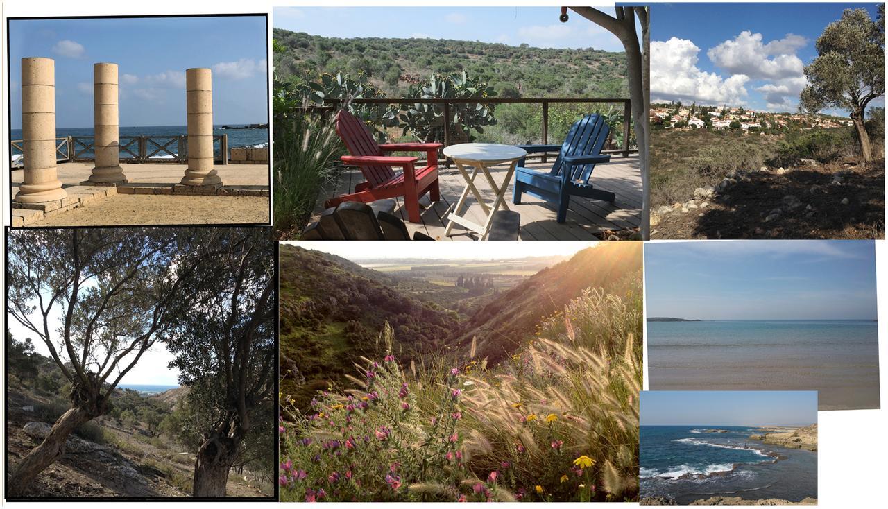Natural Reserve Apartment Zikhron Ya'akov Exterior foto